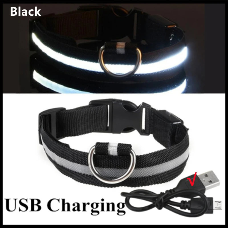 Lichtgevende Hond Halsband – USB Oplaadbaar met 3 Lichtstanden