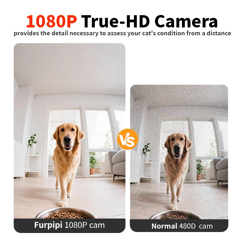 8L Automatische Kat Feeder Met 1080p Camera Video 5G WiFi Kattenvoer Dispenser Huisdier Smart Voice recorder Tuya APP Huisdier Auto Feeder